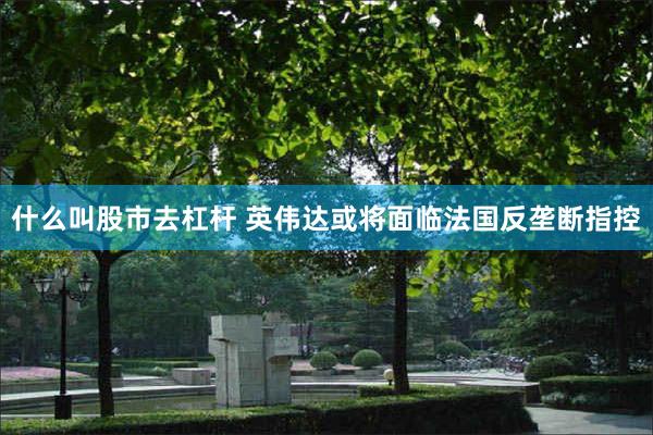 什么叫股市去杠杆 英伟达或将面临法国反垄断指控