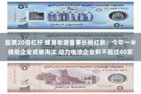 股票20倍杠杆 蜂巢能源董事长杨红新：今年一半储能企业或被淘汰 动力电池企业剩不超过40家