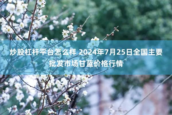 炒股杠杆平台怎么样 2024年7月25日全国主要批发市场甘蓝价格行情