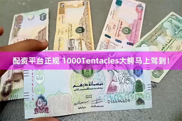 配资平台正规 1000Tentacles大鳄马上驾到！