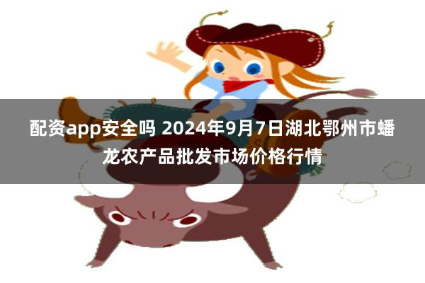 配资app安全吗 2024年9月7日湖北鄂州市蟠龙农产品批发市场价格行情