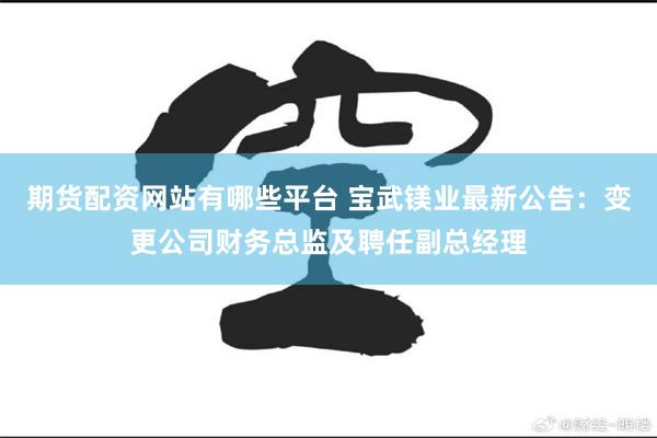 期货配资网站有哪些平台 宝武镁业最新公告：变更公司财务总监及聘任副总经理