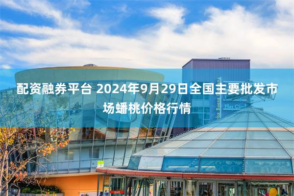 配资融券平台 2024年9月29日全国主要批发市场蟠桃价格行情