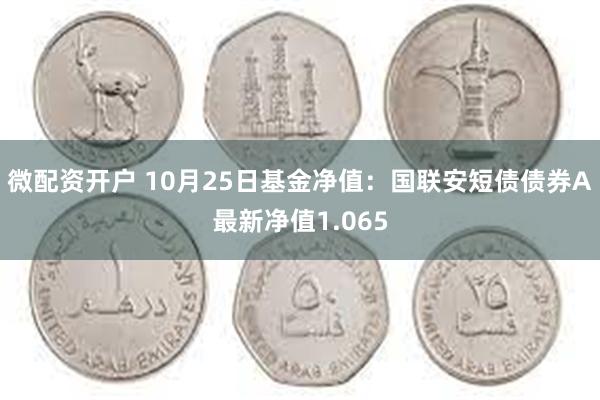 微配资开户 10月25日基金净值：国联安短债债券A最新净值1.065