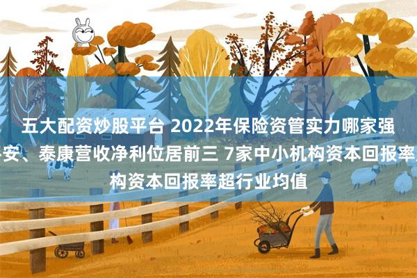 五大配资炒股平台 2022年保险资管实力哪家强？国寿、平安、泰康营收净利位居前三 7家中小机构资本回报率超行业均值