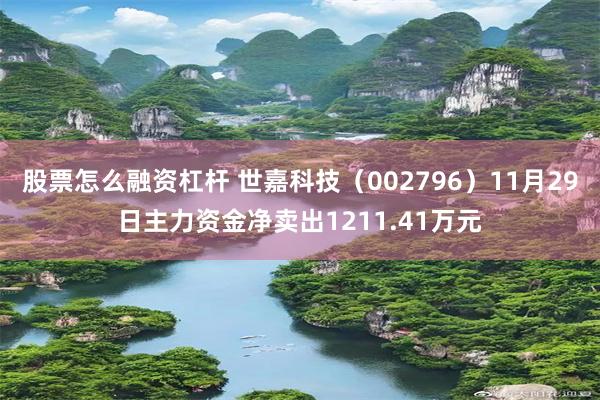 股票怎么融资杠杆 世嘉科技（002796）11月29日主力资金净卖出1211.41万元