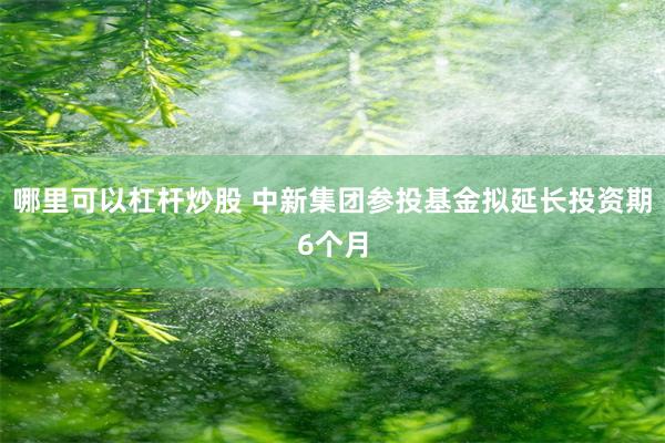 哪里可以杠杆炒股 中新集团参投基金拟延长投资期6个月