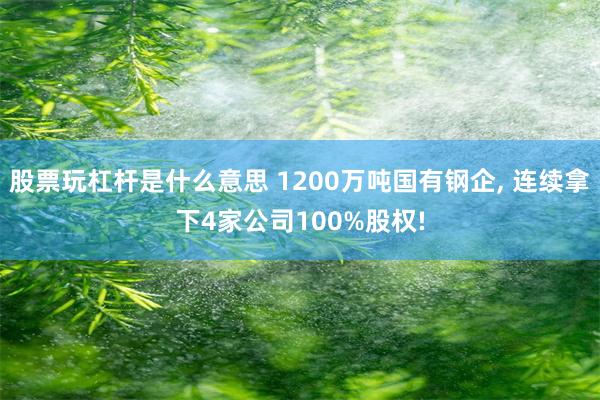 股票玩杠杆是什么意思 1200万吨国有钢企, 连续拿下4家公司100%股权!